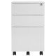 Thurrock Lockable Steel Mobile Pedestal